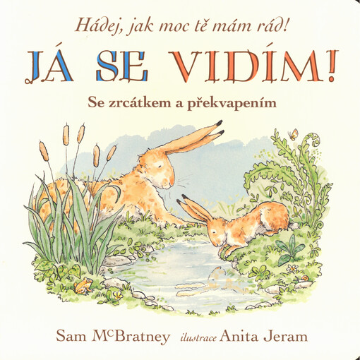 Hádej, jak moc tě mám rád! : se zrcátkem a překvapením. Já se vidím