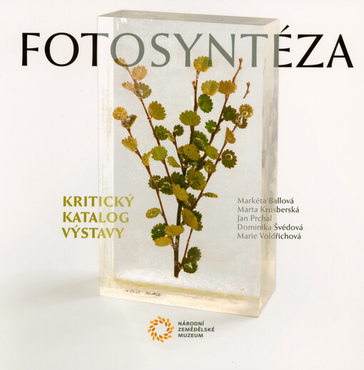 Fotosyntéza : kritický katalog výstavy