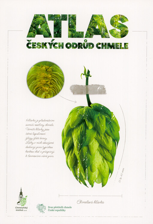 Atlas českých odrůd chmele