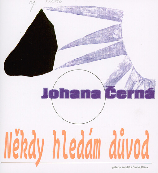 Někdy hledám důvod