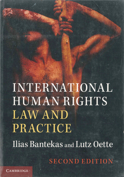 International human rights law and practice