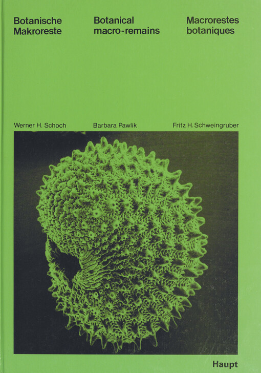 Botanische Makroreste