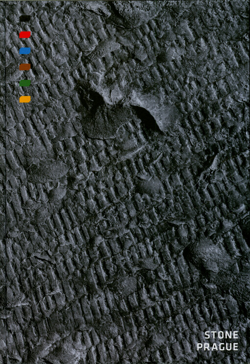 Stone Prague : stoneworking of historical buildings of the capital of Prague