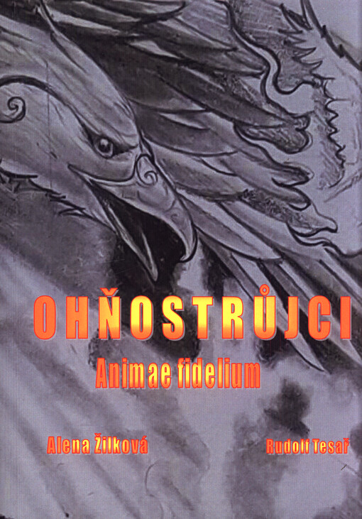 Ohňostrůjci : animae fidelium