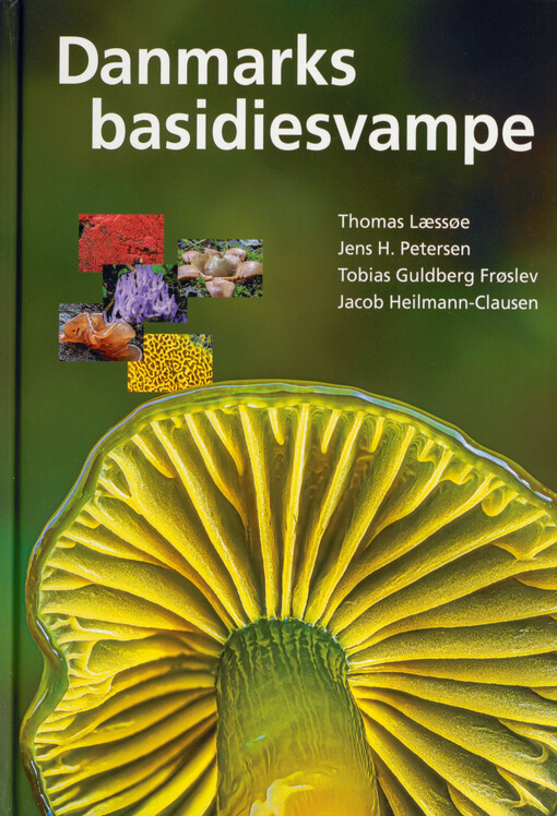 Danske basidiesvampe