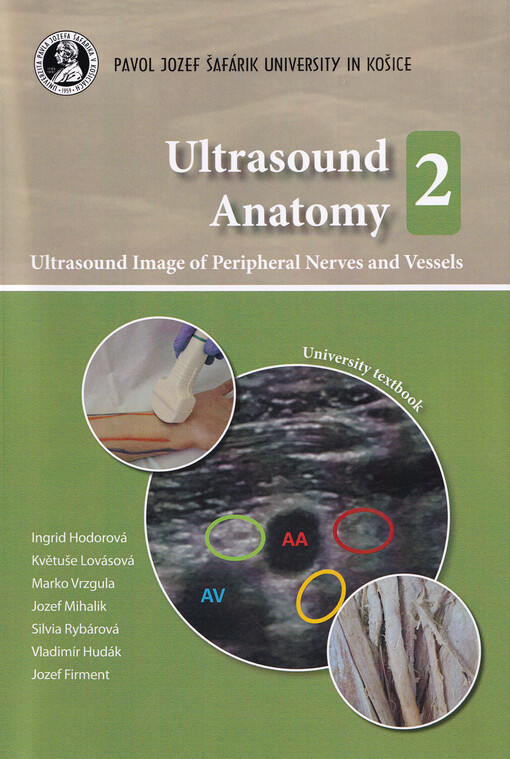 Ultrasound anatomy