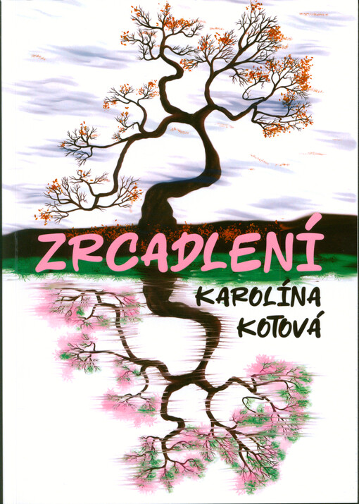 Zrcadlení