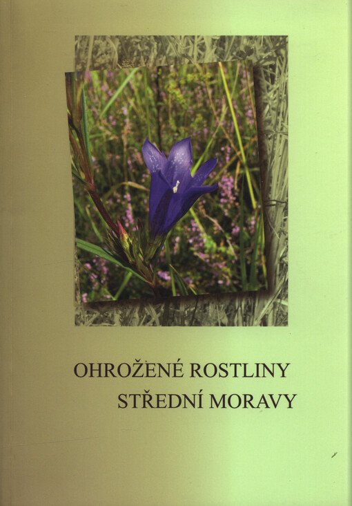 Ohrožené rostliny střední Moravy