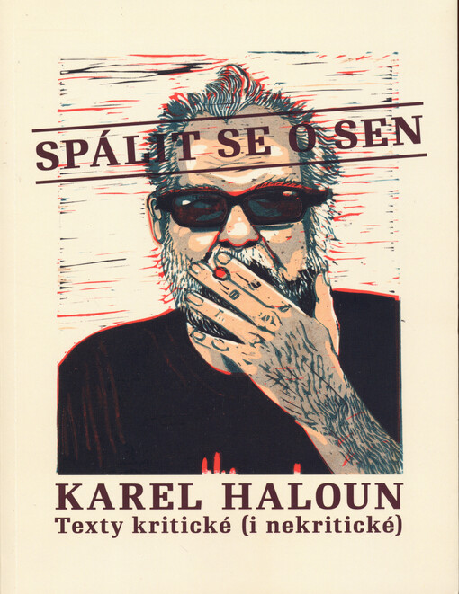 Spálit se o sen : texty kritické (i nekritické)