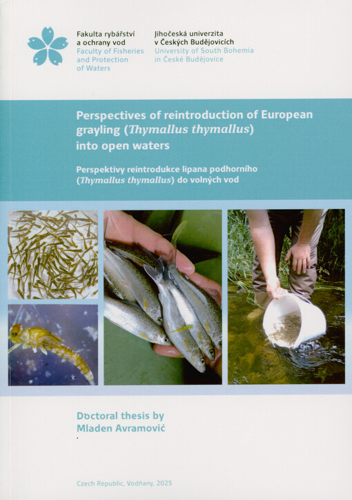 Perspectives of reintroduction of European grayling (Thymallus thymallus) into open waters = Perspektivy reintrodukce lipana podhorního (Thymallus thymallus) do volných vod