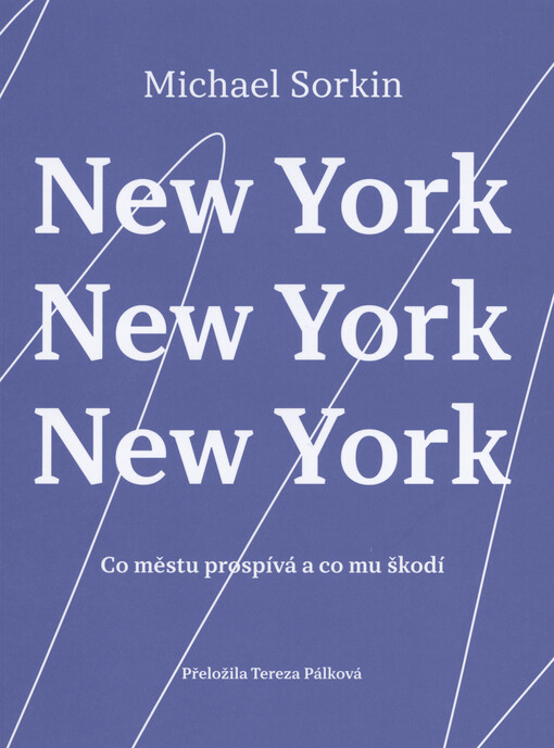 New York, New York, New York : co městu prospívá a co mu škodí