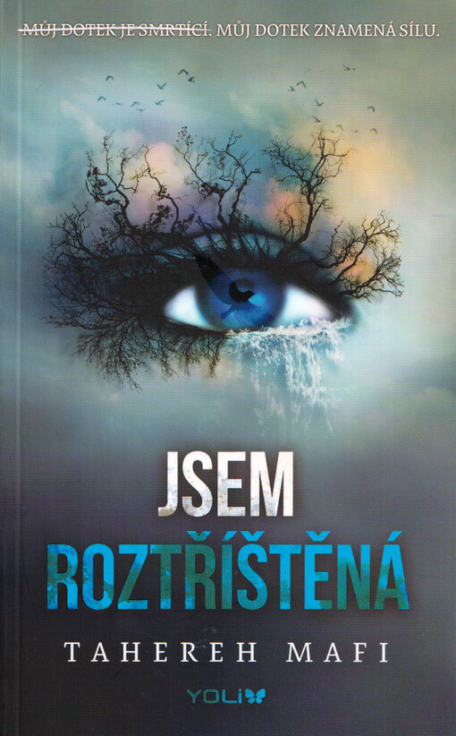 Jsem roztříštěná