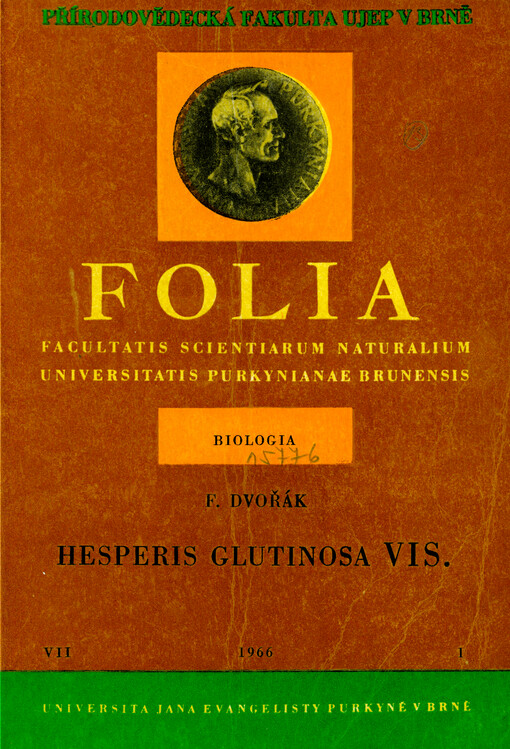 Hesperis glutinosa VIS