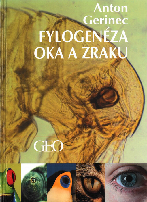 Fylogenéza oka a zraku