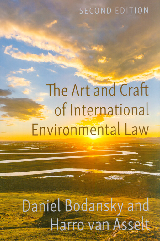 The art and craft of international environmental law