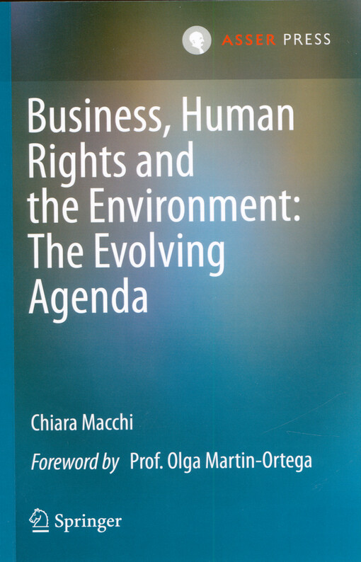 Business, human rights and the environment : the evolving agenda