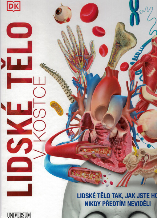 Lidské tělo v kostce