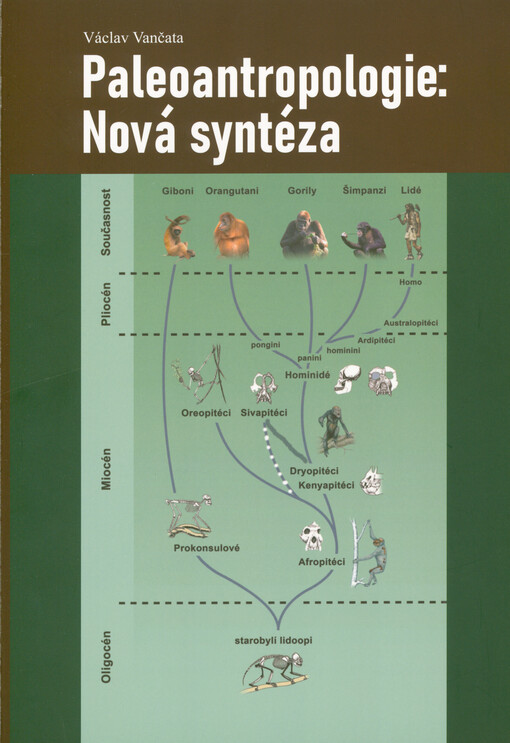 Paleoantropologie: nová syntéza