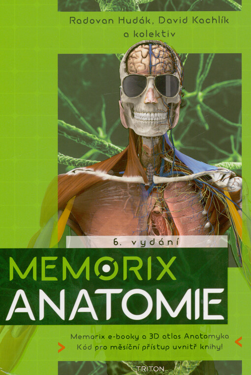 Memorix anatomie