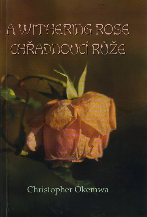 A withering rose = Chřadnoucí růže