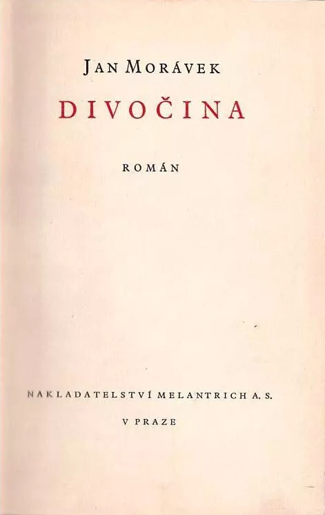 Divočina :román