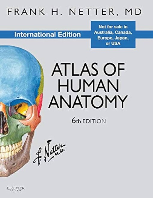 Atlas of human anatomy, International ed.