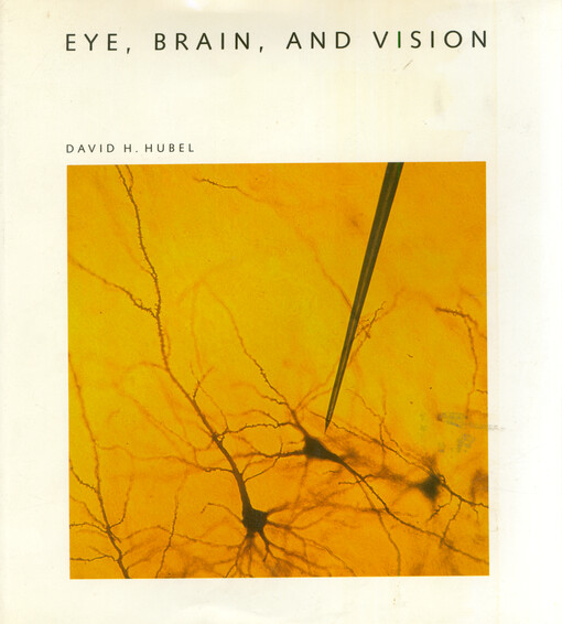 Eye, brain, and vision