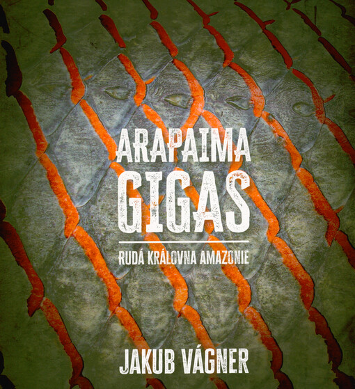 Arapaima gigas : rudá královna Amazonie