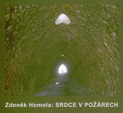 Srdce v požárech