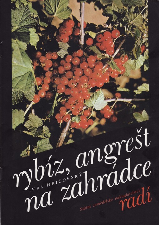 Rybíz, angrešt na zahrádce