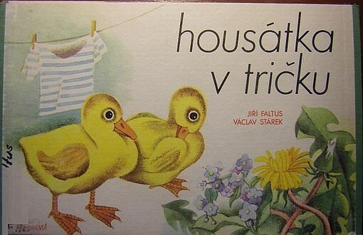 Housátka v tričku