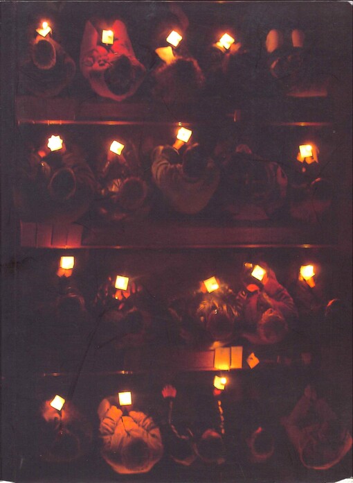 Salvatoria : almanach k 60. narozeninám Tomáše Halíka