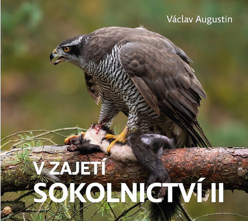 V zajetí sokolnictví II