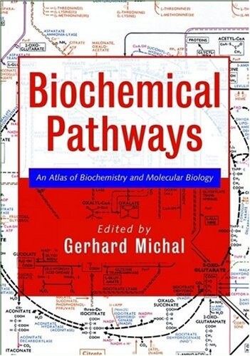 Biochemical Pathways: An Atlas of Biochemistry and Molecular Biology