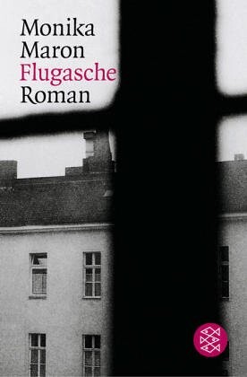 Flugasche : Roman