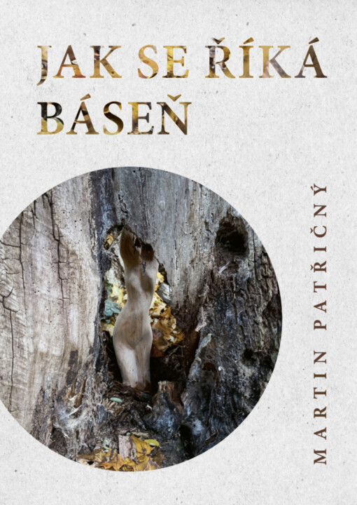 Jak se říká báseň