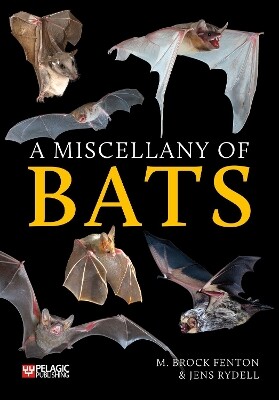 A miscellany of bats