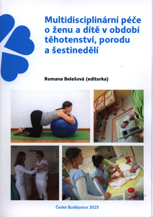 Multidisciplinární péče o ženu a dítě v období těhotenství, porodu a šestinedělí