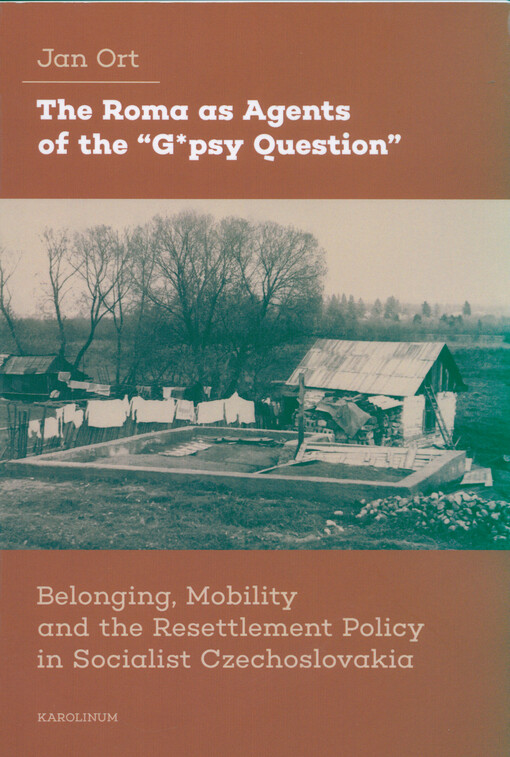 The Roma as agents of the 