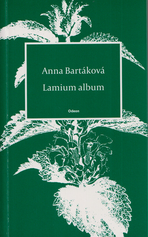 Lamium album