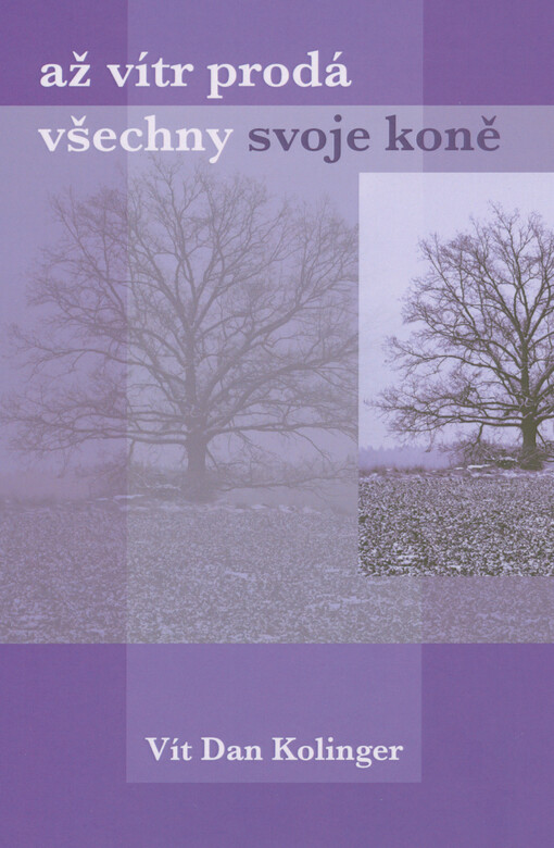 Až vítr prodá všechny svoje koně