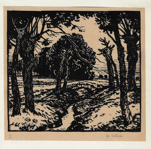 Haná : XII dřevorytů