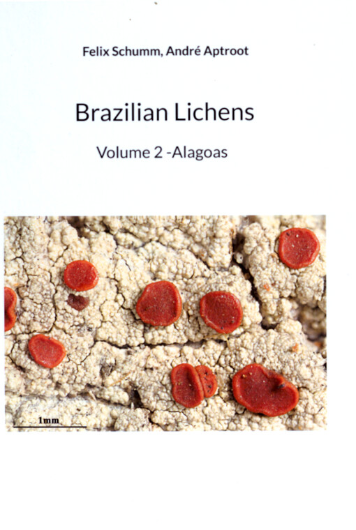 Brazilian lichens