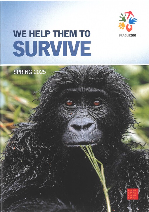 We help them to survive