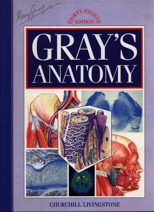 Gray's anatomy : the anatomical basis of medicine and surgery