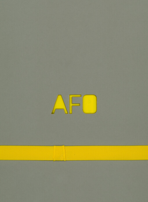 Academia Film Olomouc: 60 let populárně-vědeckého filmu = Academia Film Olomouc: 60 years of science documentary film