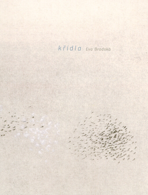 Eva Brodská : křídla : bývalý Klášter augustiniánů kanovníků v Roudnici nad Labem, 25.5.-30.6.2025 : Galerie moderního umění v Roudnici nad Labem, 5.6.-14.9.2025