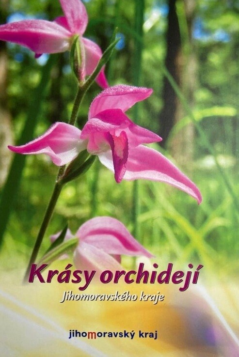 Krásy orchidejí Jihomoravského kraje