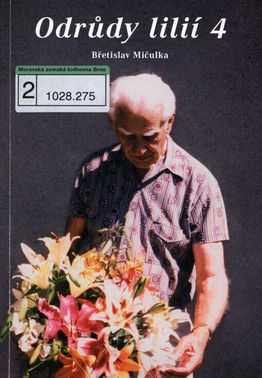 Odrůdy lilií pěstované u nás 4