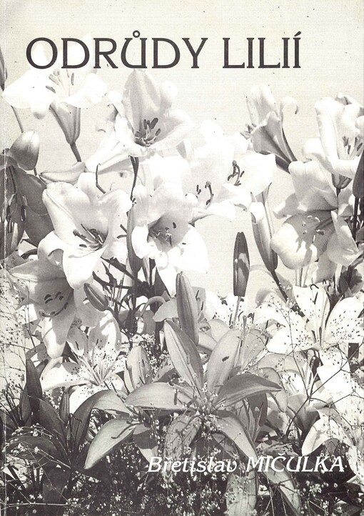 Odrůdy lilií pěstované u nás 1